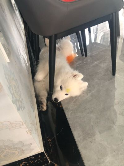 要江夏区的师傅