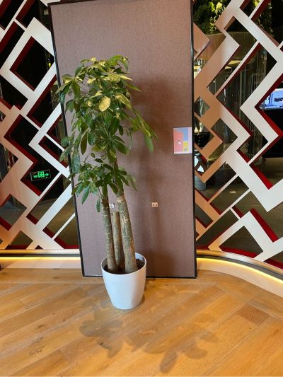 装饰装修维修