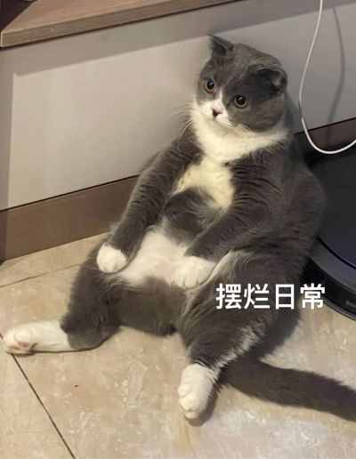 无