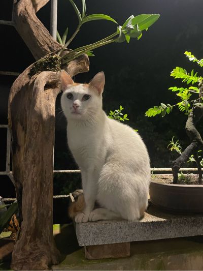 家电维修安装