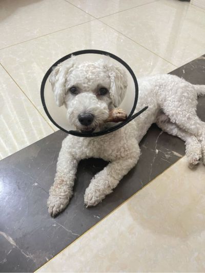 空调