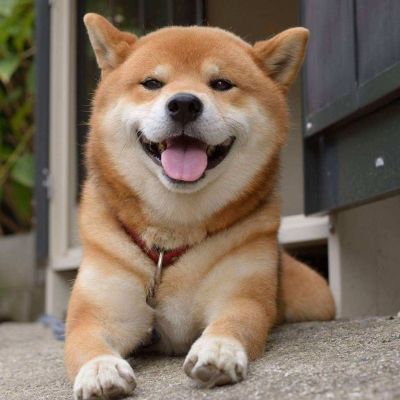 建筑
