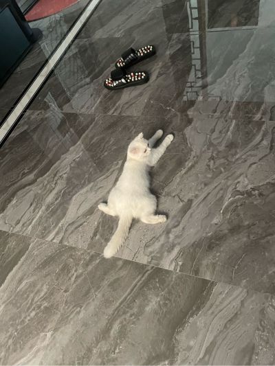 挪床