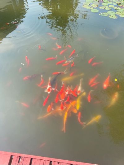 水电维修安装维修安装