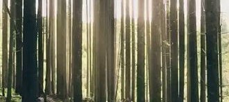 专业刮腻子粉专业做乳胶漆专业内外墙漆专业抹灰