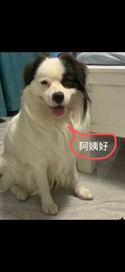 无