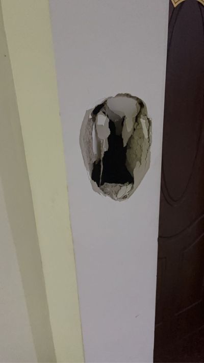 狗狗你们
