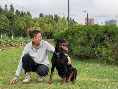 宠物