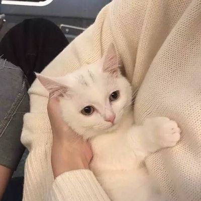 无