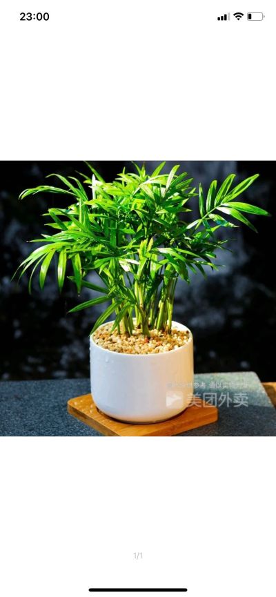 瓦工