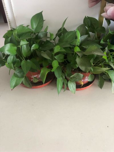 木门安装
