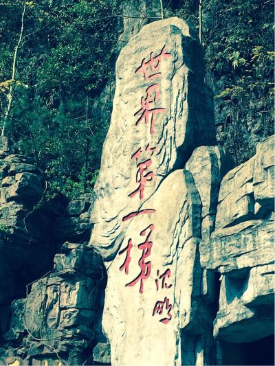 无