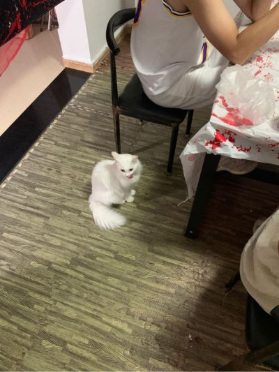 数码和快送
