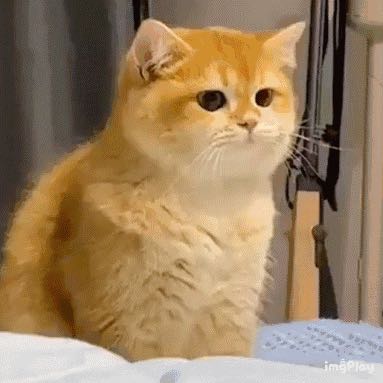 水电家装