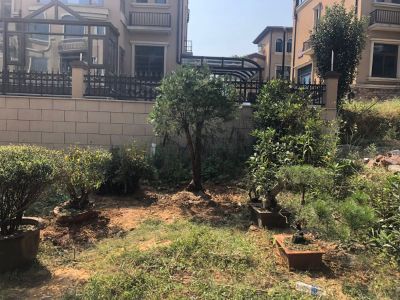 油漆维修油漆涂料维修油漆