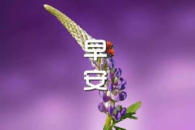 无