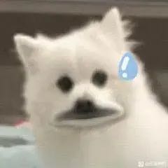 无