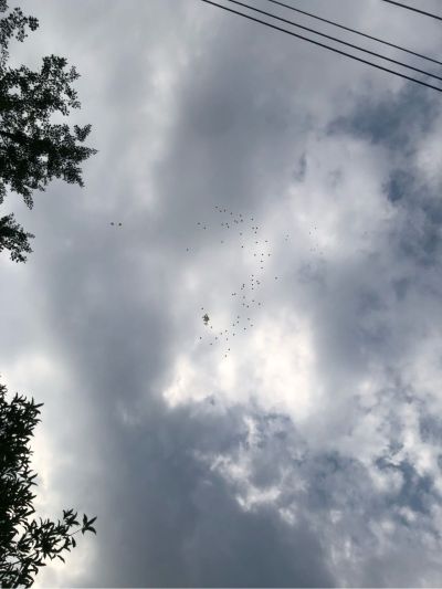 洁具安装淋浴房安装卫生间平开门各类铝门