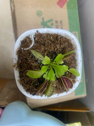电工