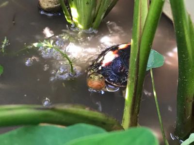 衣柜安装师傅