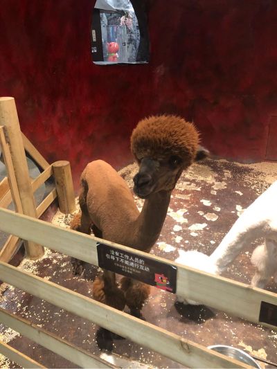 家具维修食品