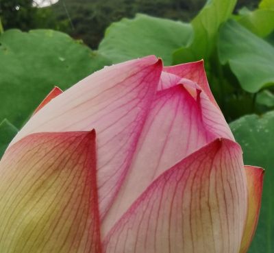 水电安装维修无