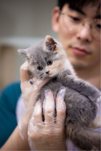 猫舍