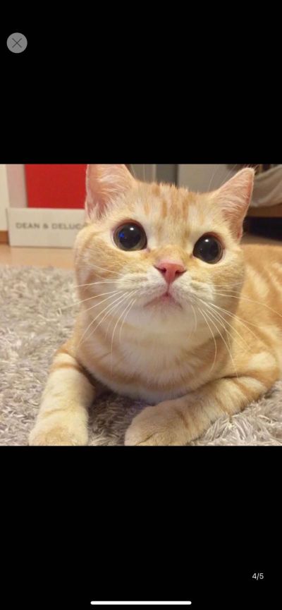 家电安装