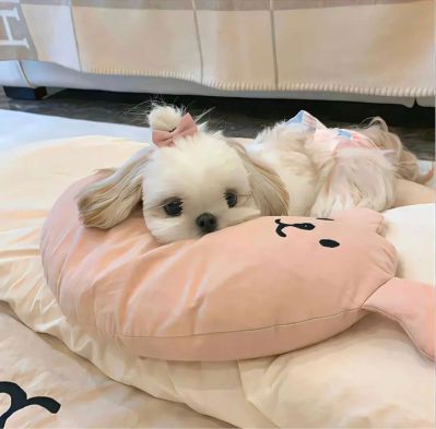 销售