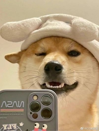 家装