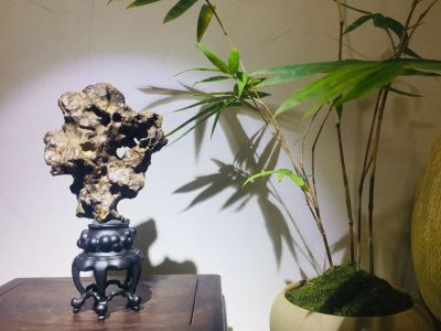 安装维修保洁
