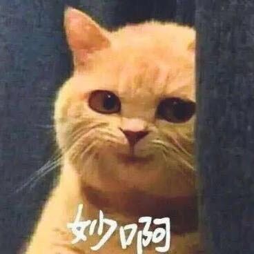 弱电安装