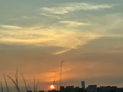 寻找家居灯具安装师傅