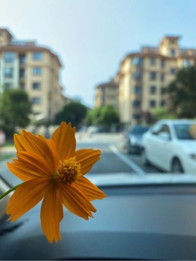 家装家装集成吊顶