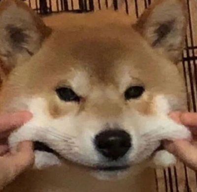 其它