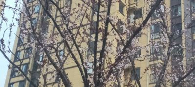 专业油漆工、室内油漆工外墙真石漆外墙水包砂