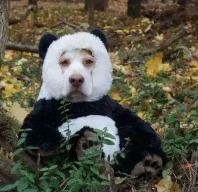 柜类订制家居