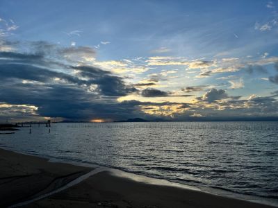 油漆腻子批灰