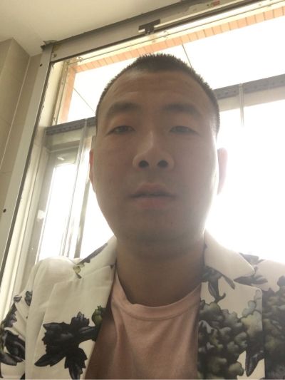 专业贴砖