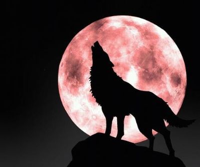 专业团队，承接各种：搬运，大小拆除，安装