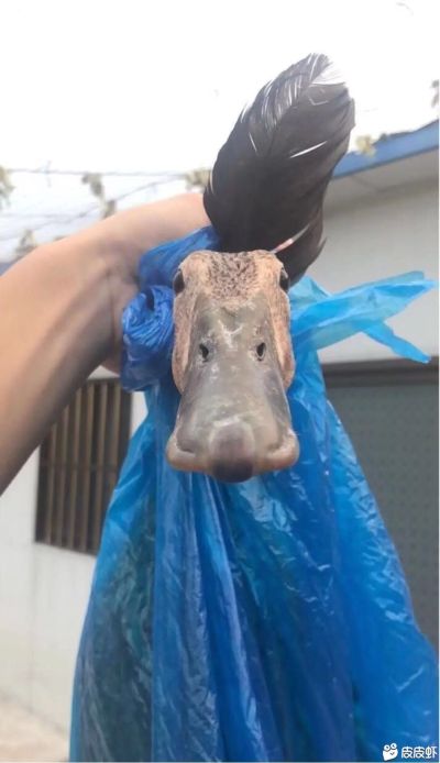安装和维修