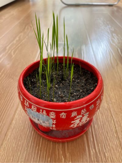 家具