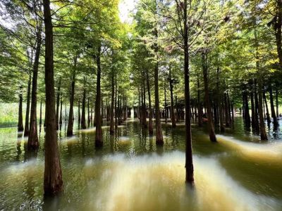 水电安装维修