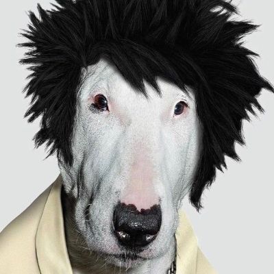 家具