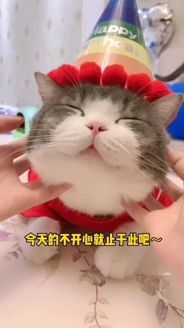 安装