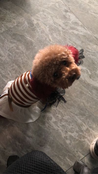 划伤