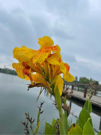 米兰软装