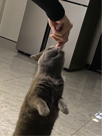 无