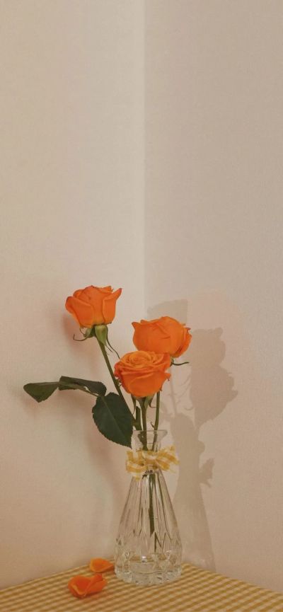 用户