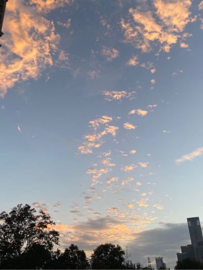 背景墙1599竹木纤维板和隔扇高度切割下 6584另挖几个擦坐孔 很简单的工作 836不到一个小时就能搞定 开发区永旺北